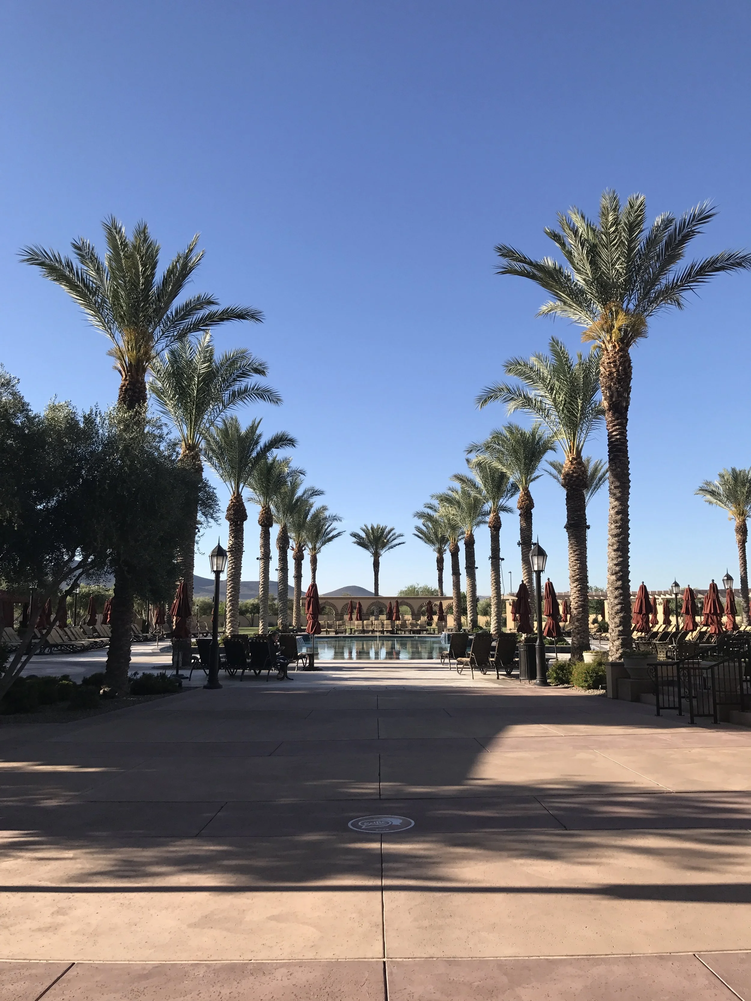 Pool area at Casino Del Sol. 