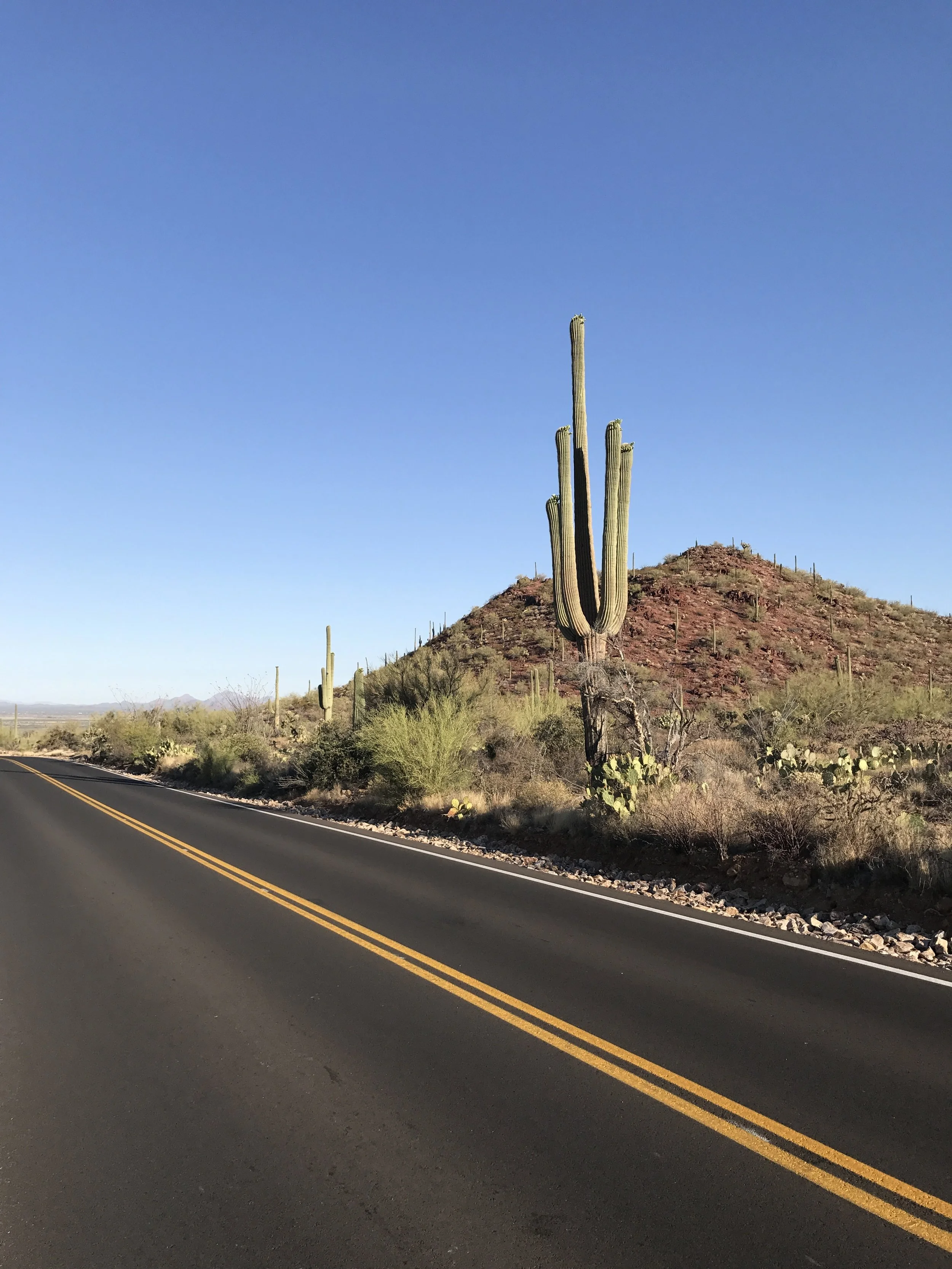 My favorite was the road against the desert. 
