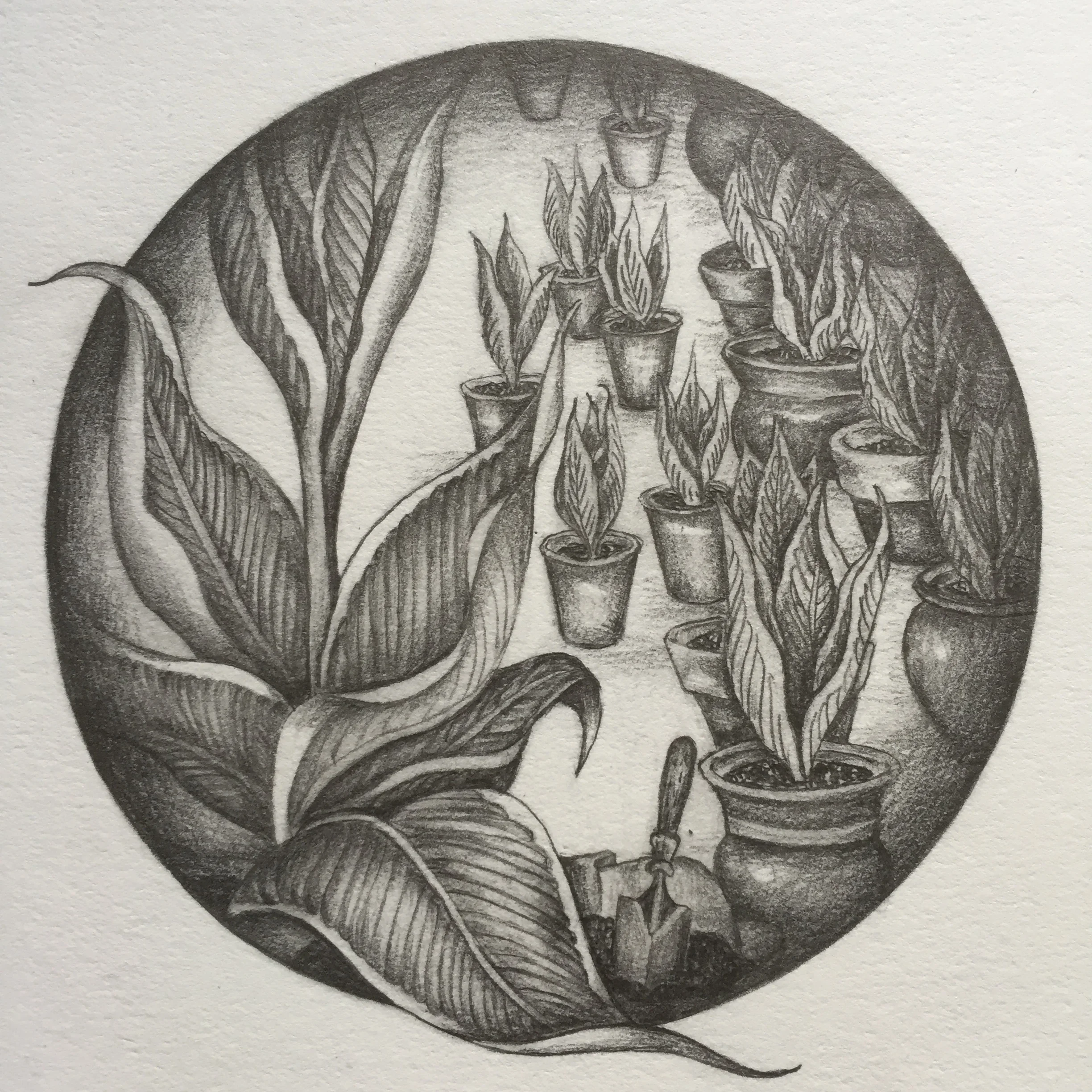 Dream drawing#55.JPG