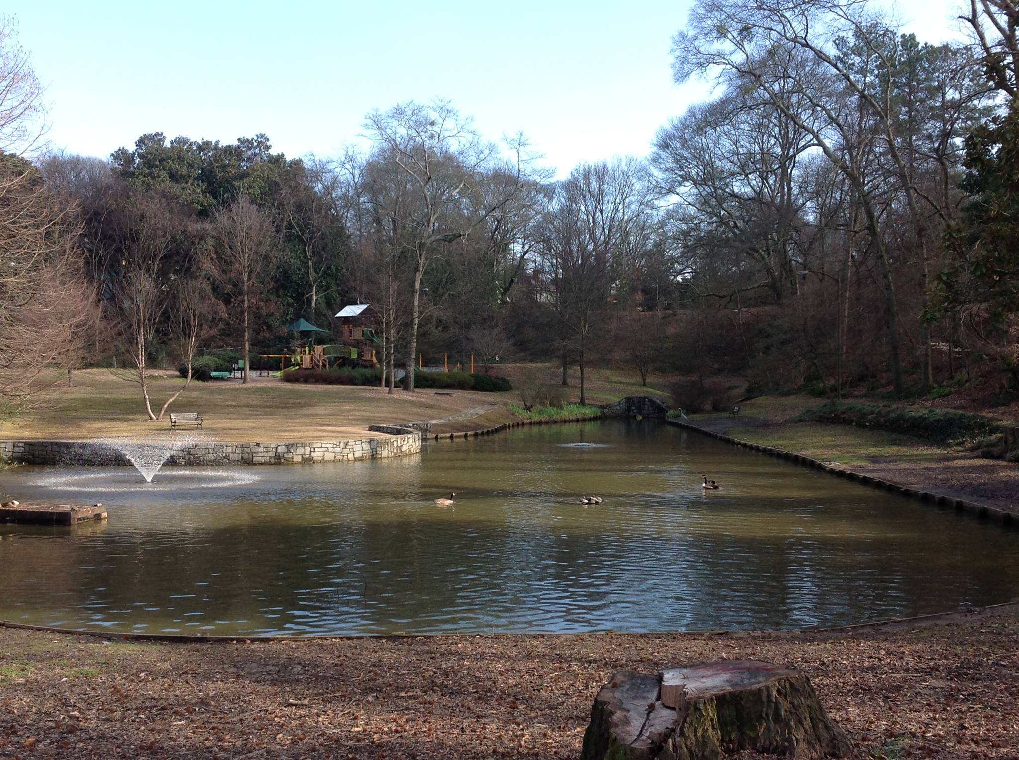 Springvale Park