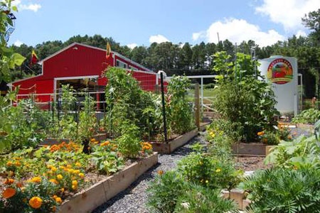 Atlanta Painters @ the Harvest Farm 