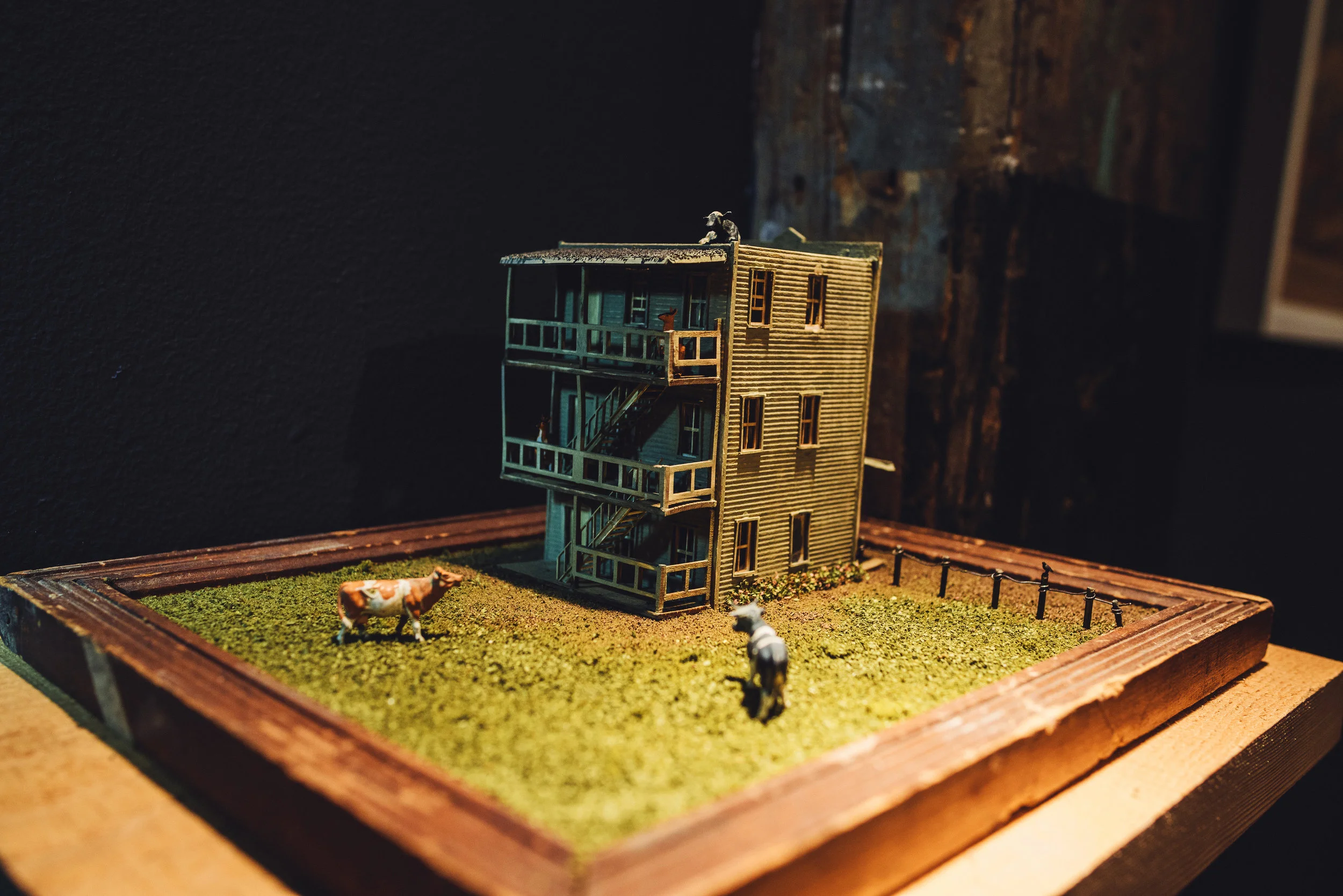 2013_0308_187.jpg