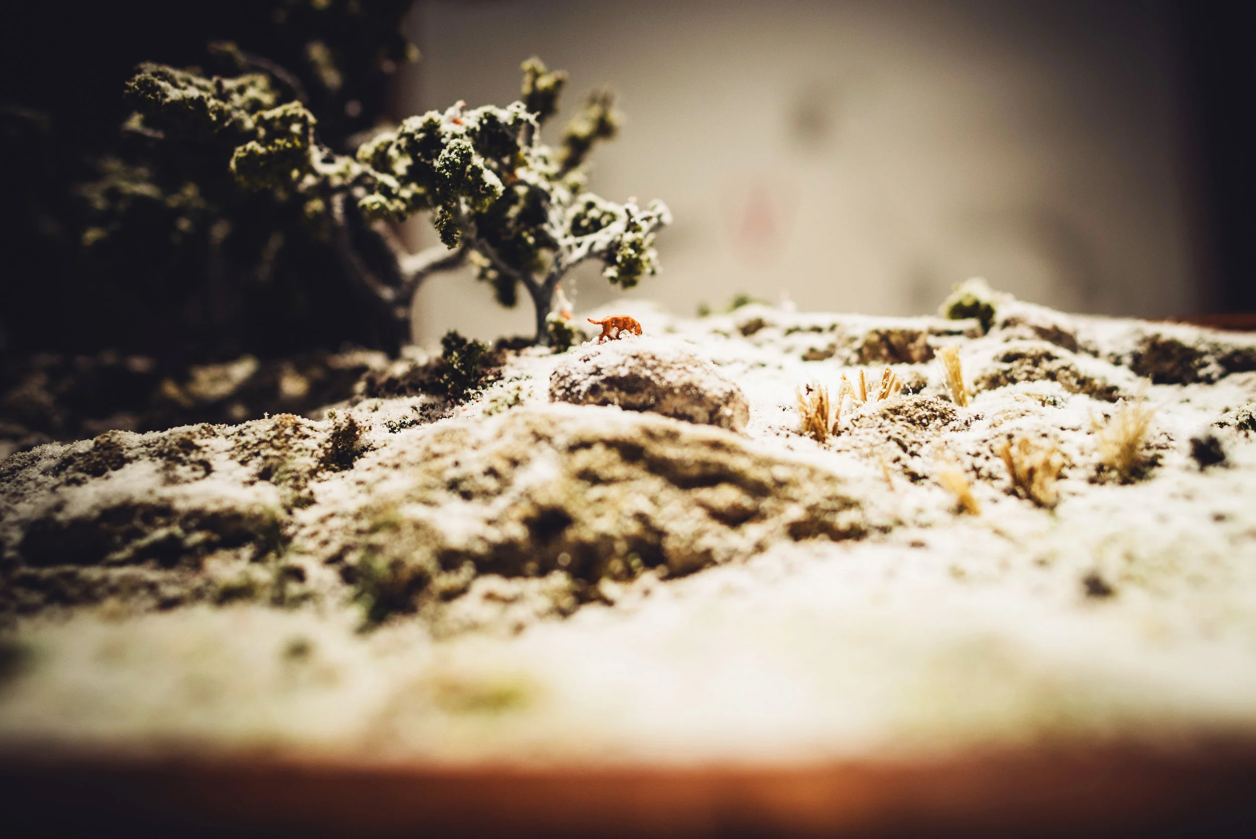 2013_0308_212.jpg