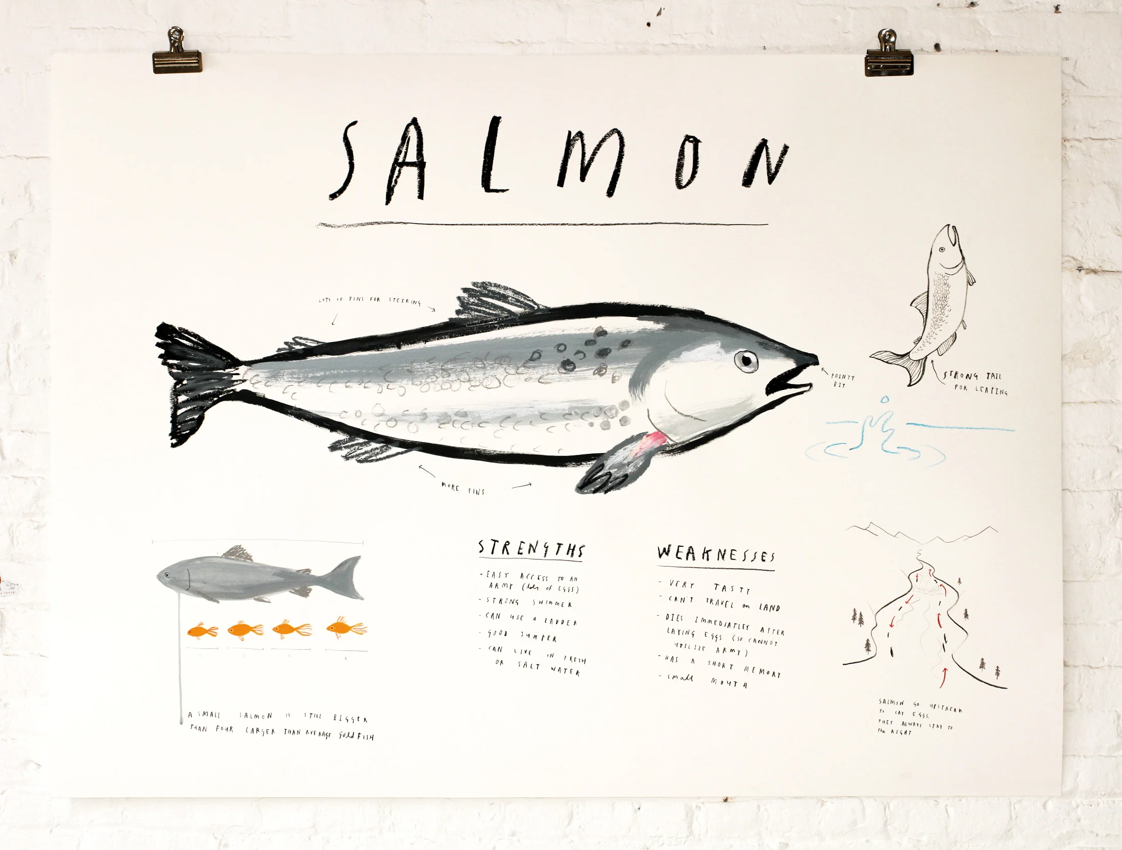 SALMON- web.jpg