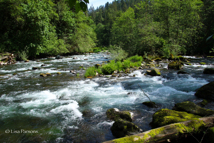 Whitewater Channel