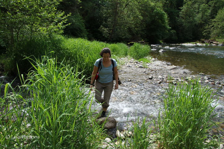 Returning Back Across the Creek