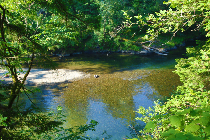 Looking down at the river from the road.