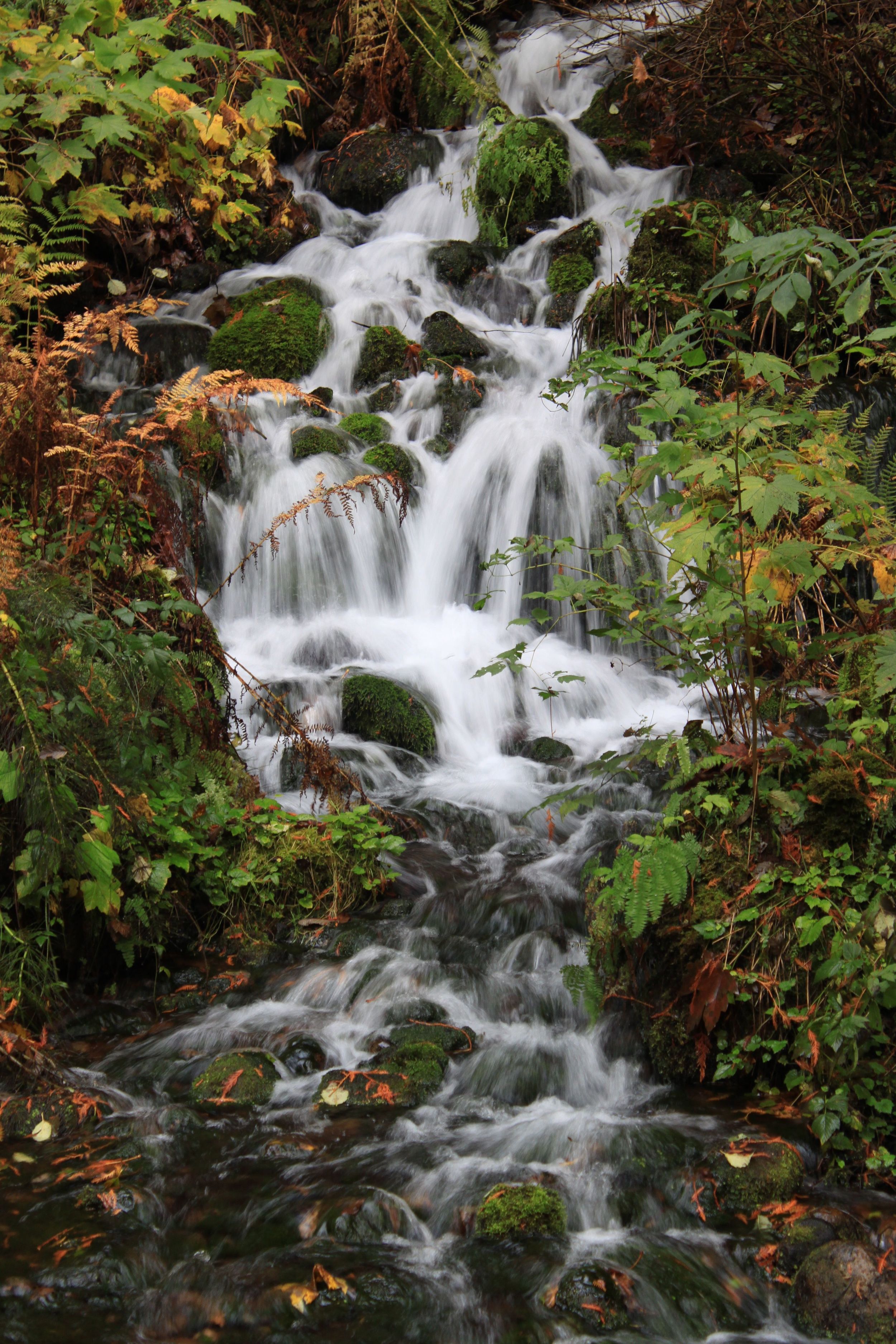 Large Spring in the Gorge.