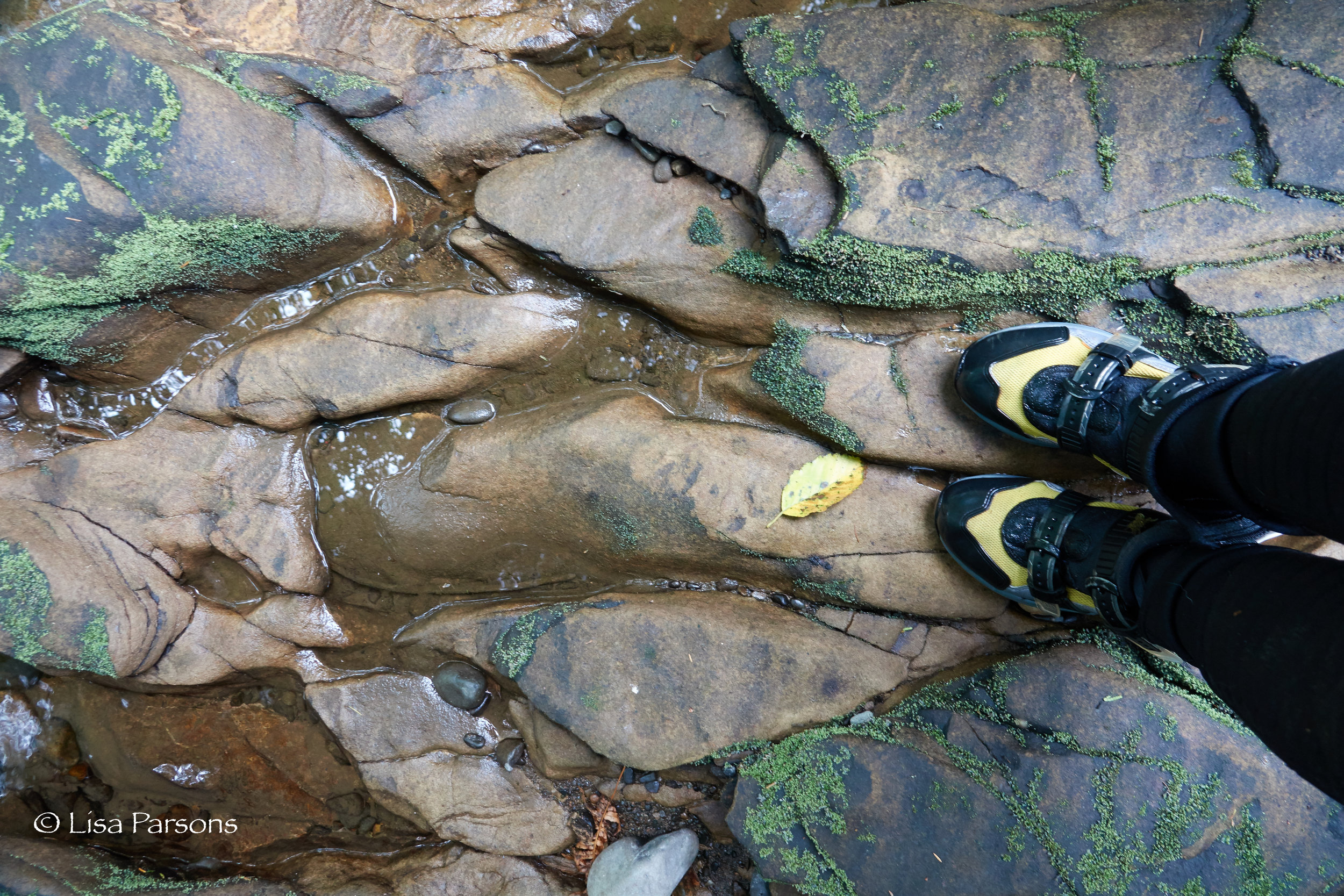 Sandstone and Canyoneering Boots