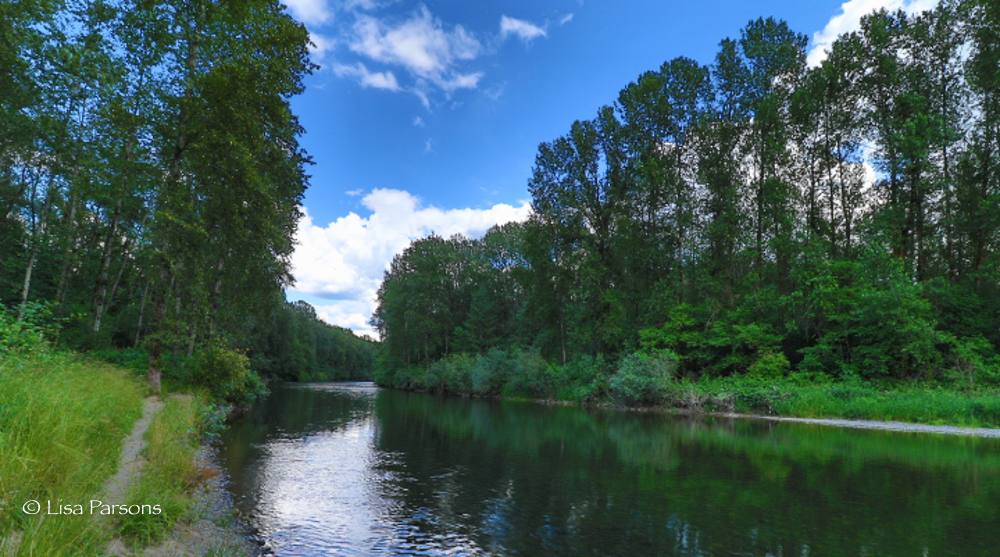 Green River Natural Area