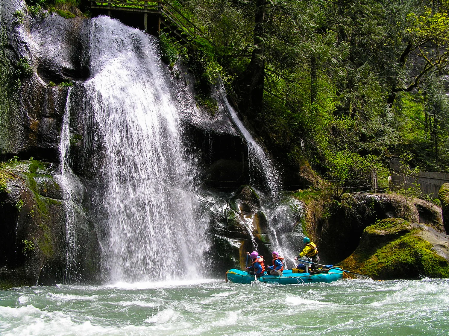 Rafters at Paradise Falls
