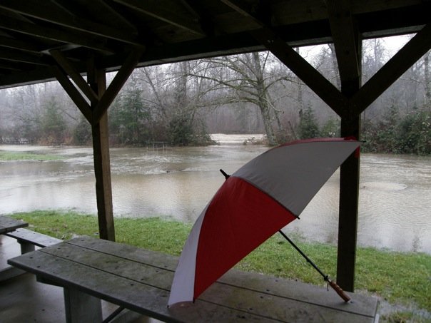 Surrounded by Flood Water