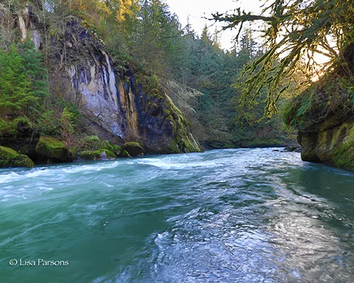 Green River Washington