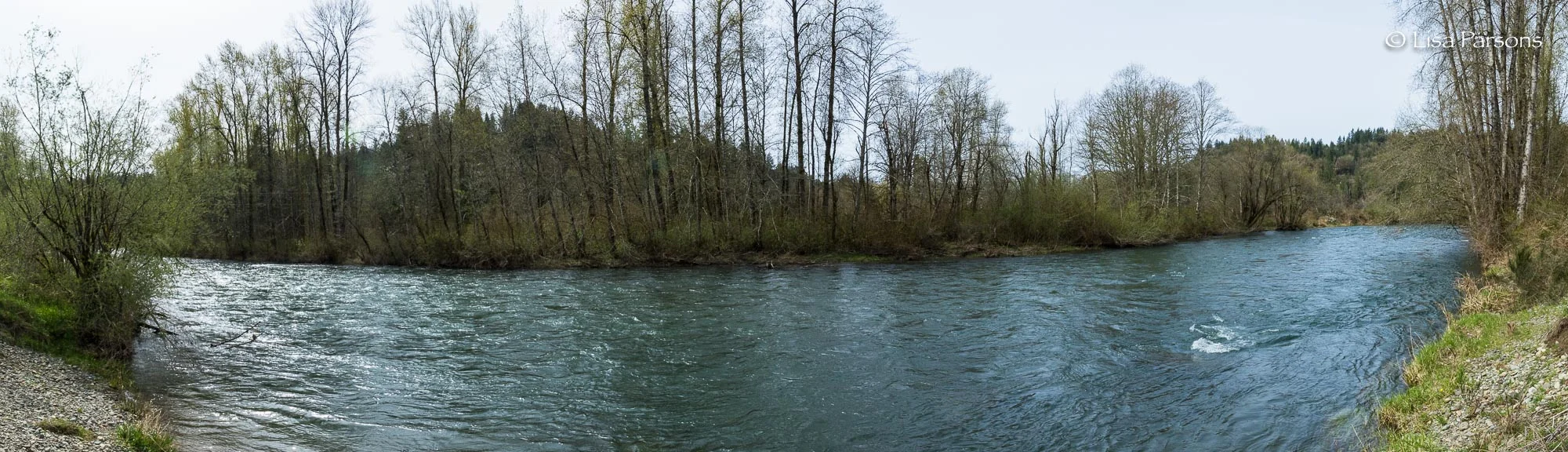 Looking Across the River at Main Park From the North Side