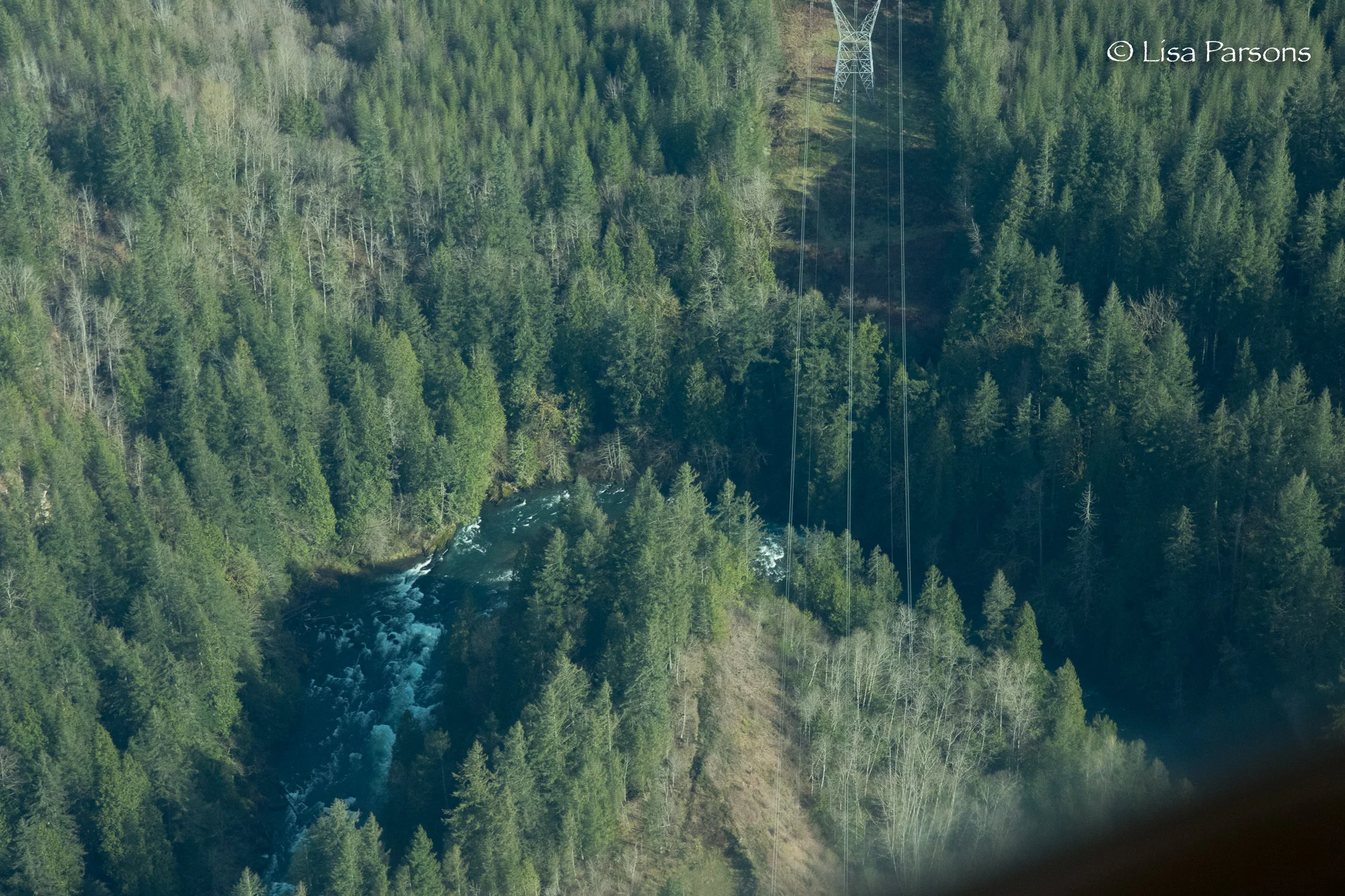 Powerlines Crossing the Gorge