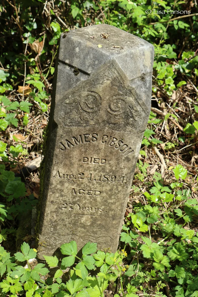 Grave Stone in the Forest