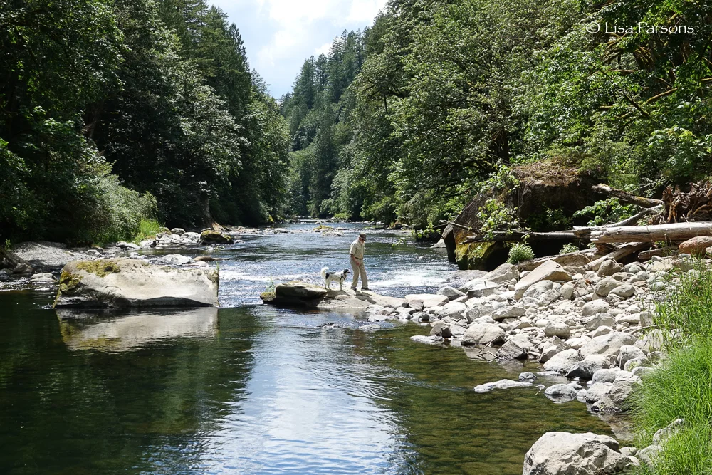 Summer Swimming Hole