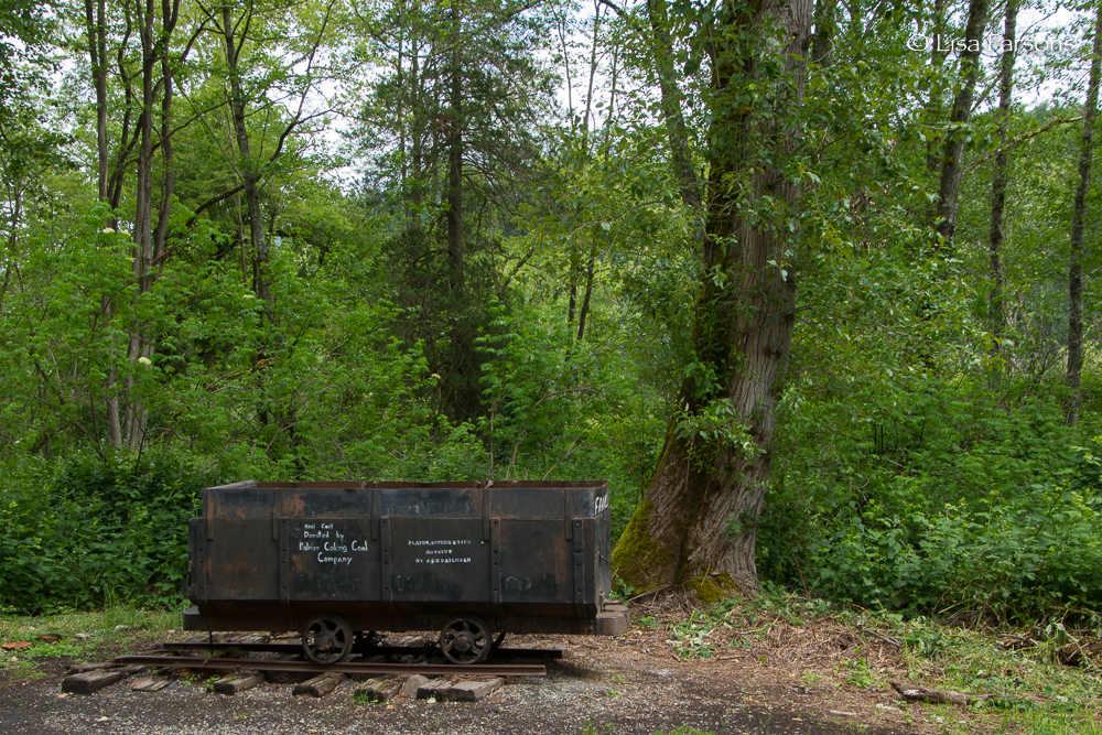 Coal Car at Trail Junction