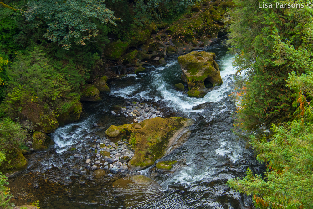 West View From the One Lane Bridge