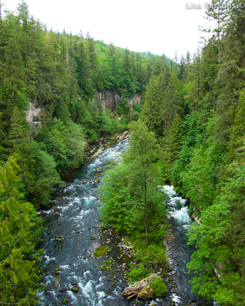 East View From the One Lane Bridge