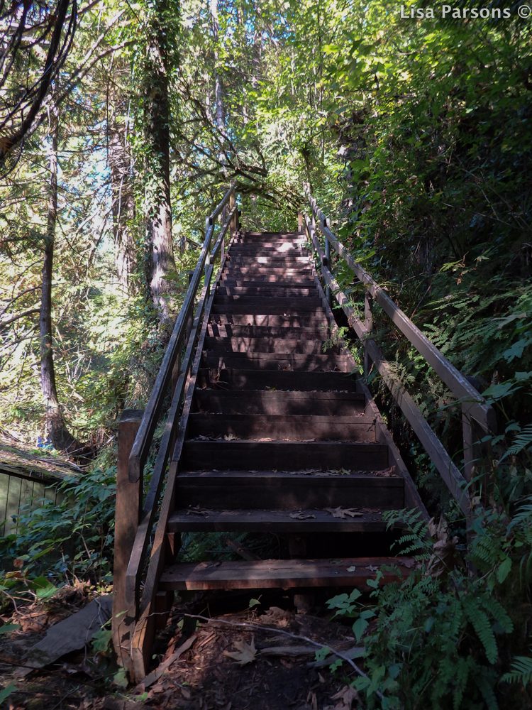 Stairway Back Up