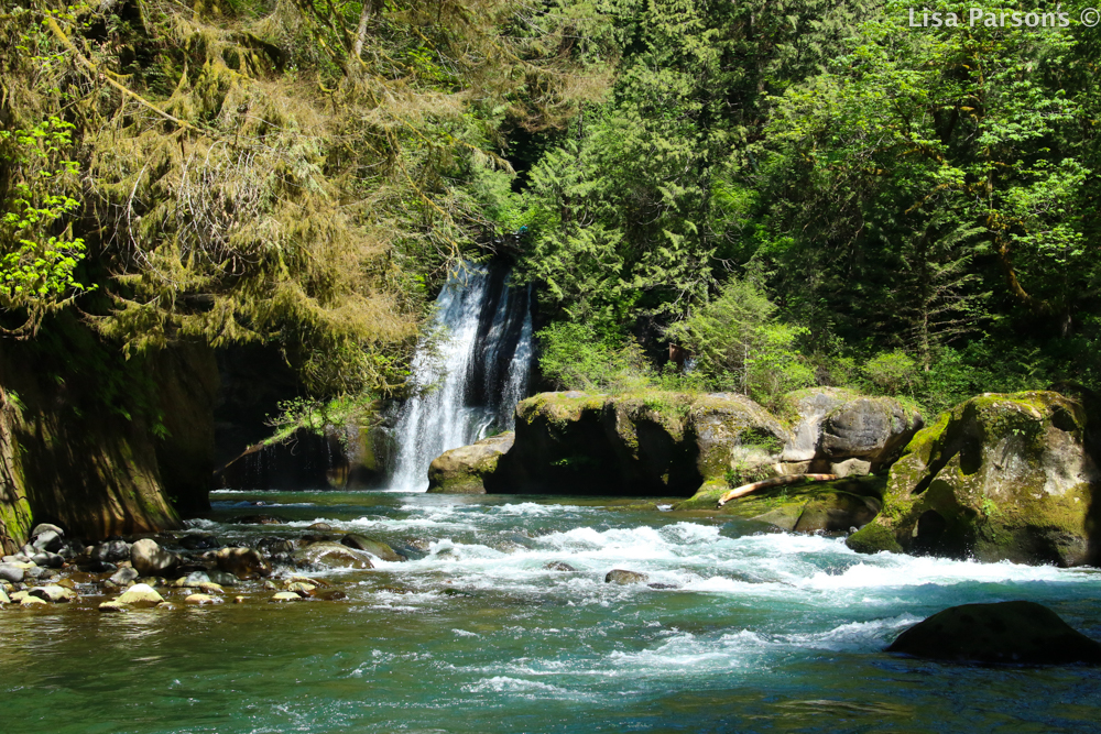 Paradise Falls From Downstream