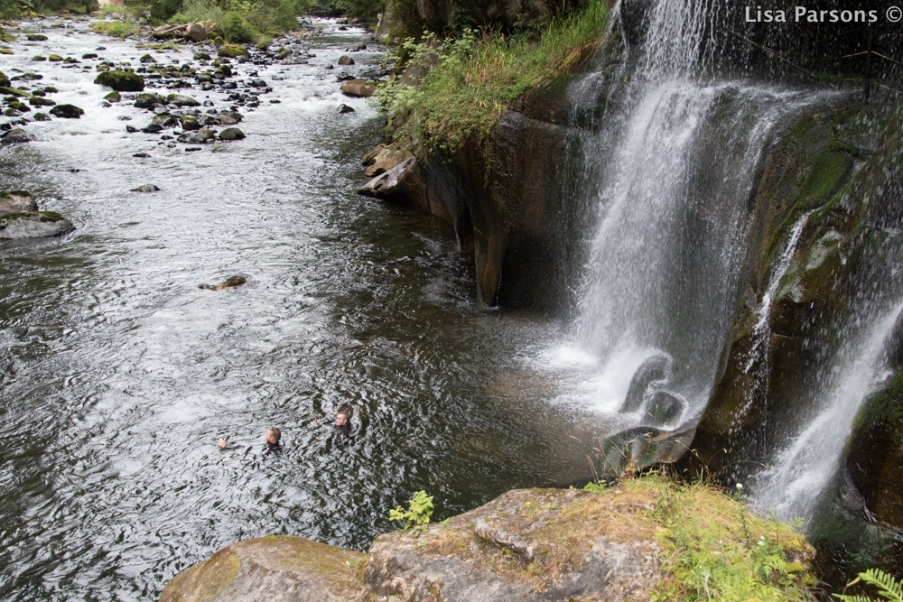 Swimmers at the Falls