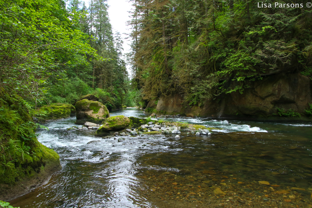 Looking Downstream