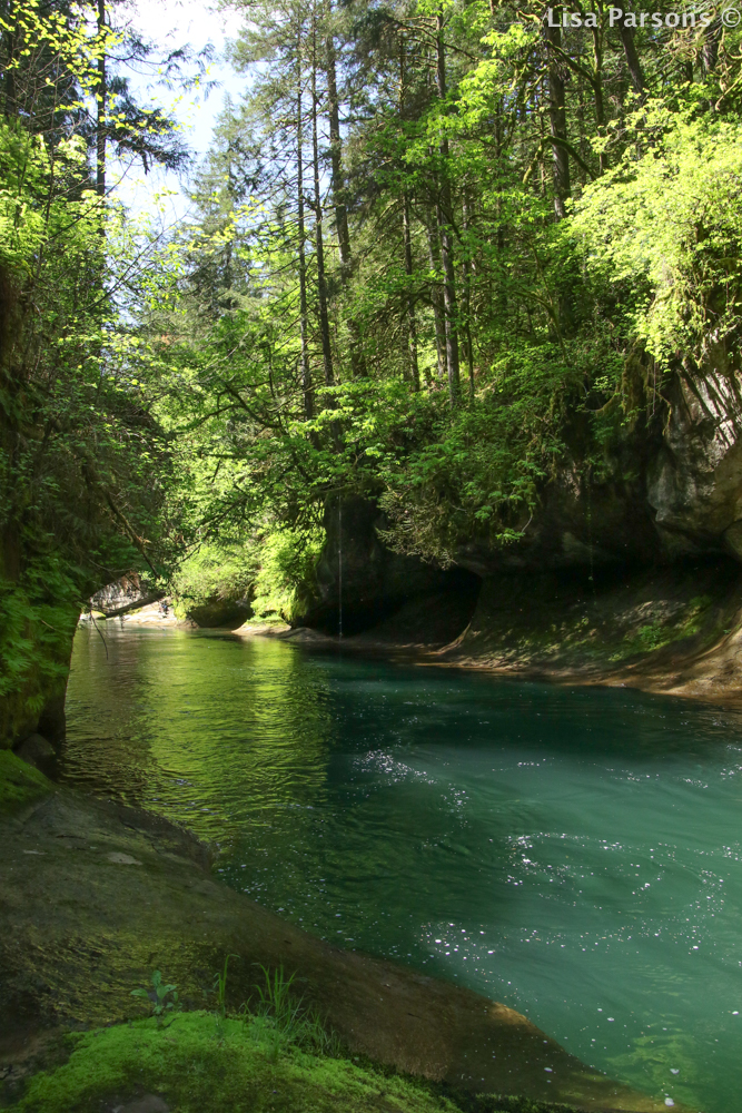 The Green Alley