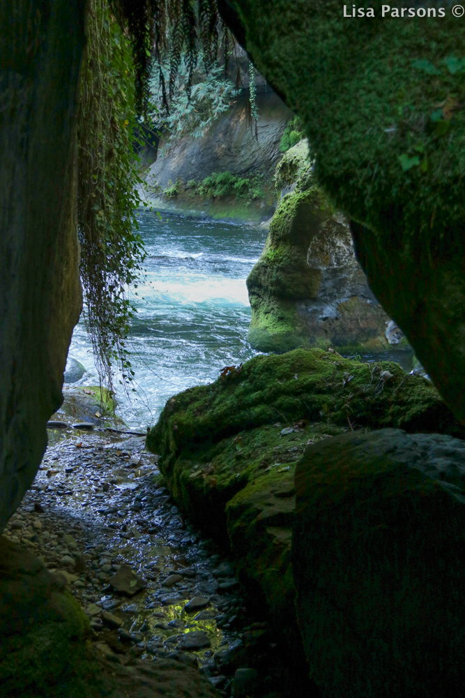 Archway Along Trail