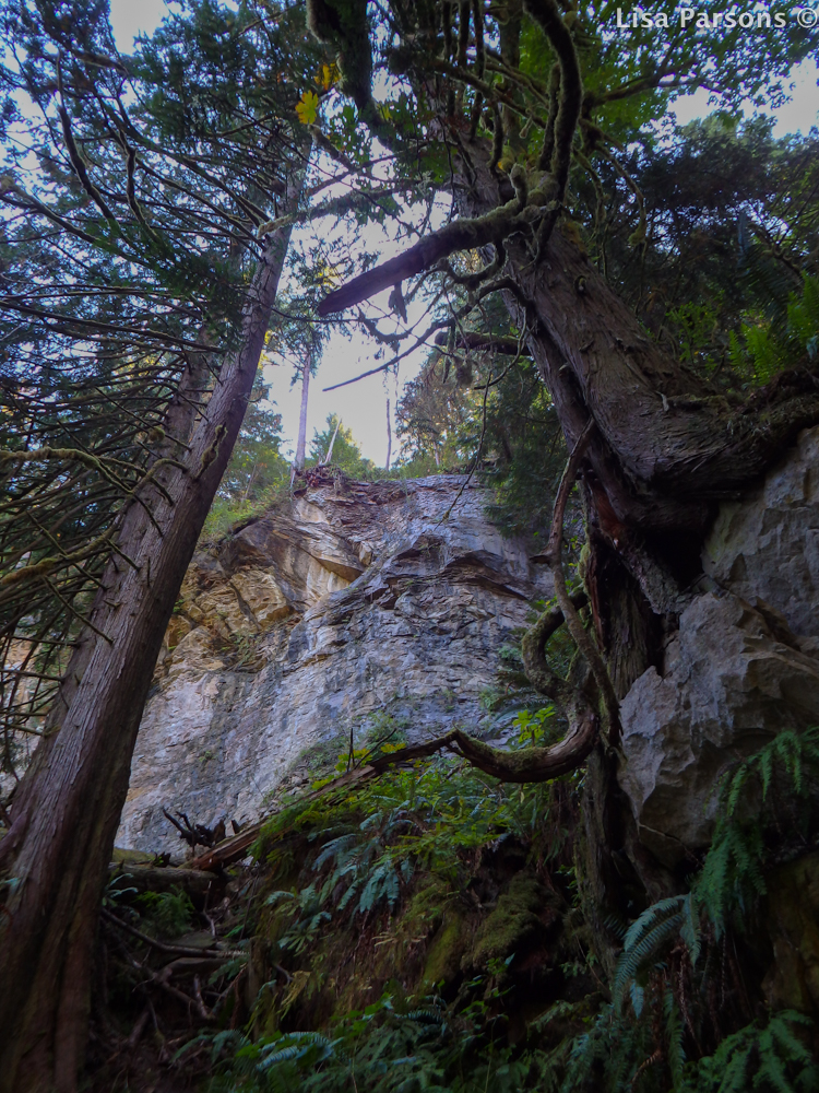 Looking Up at Cliff Above