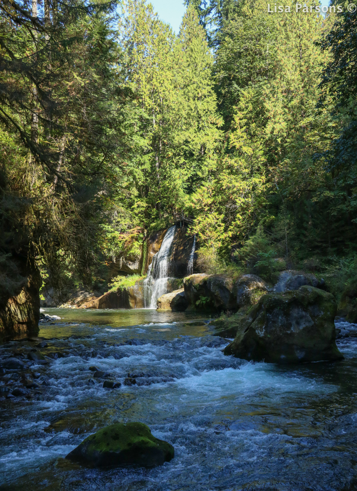 Looking Back Upstream