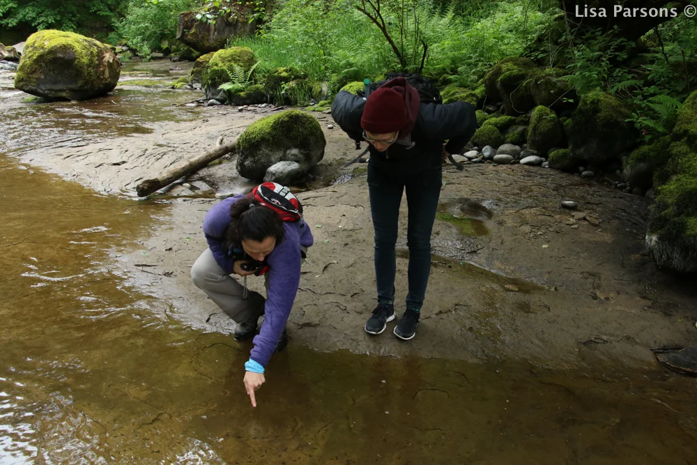 Scientists Looking at Periwinkles