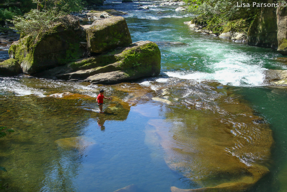 Swimming Hole Above Paradise Ledge