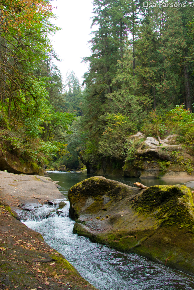 Paradise Ledge at Low Water