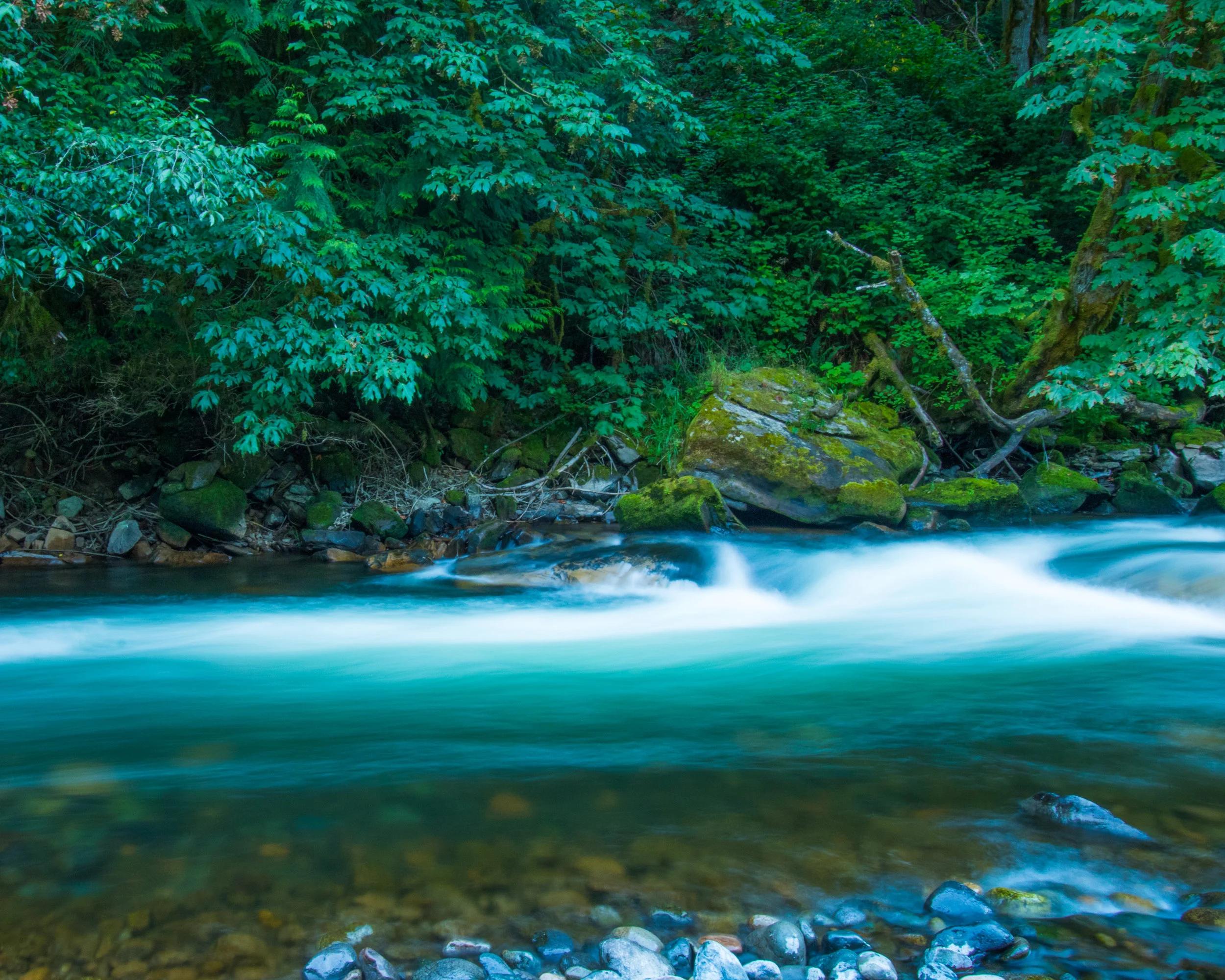 The Green River in the Green River Gorge