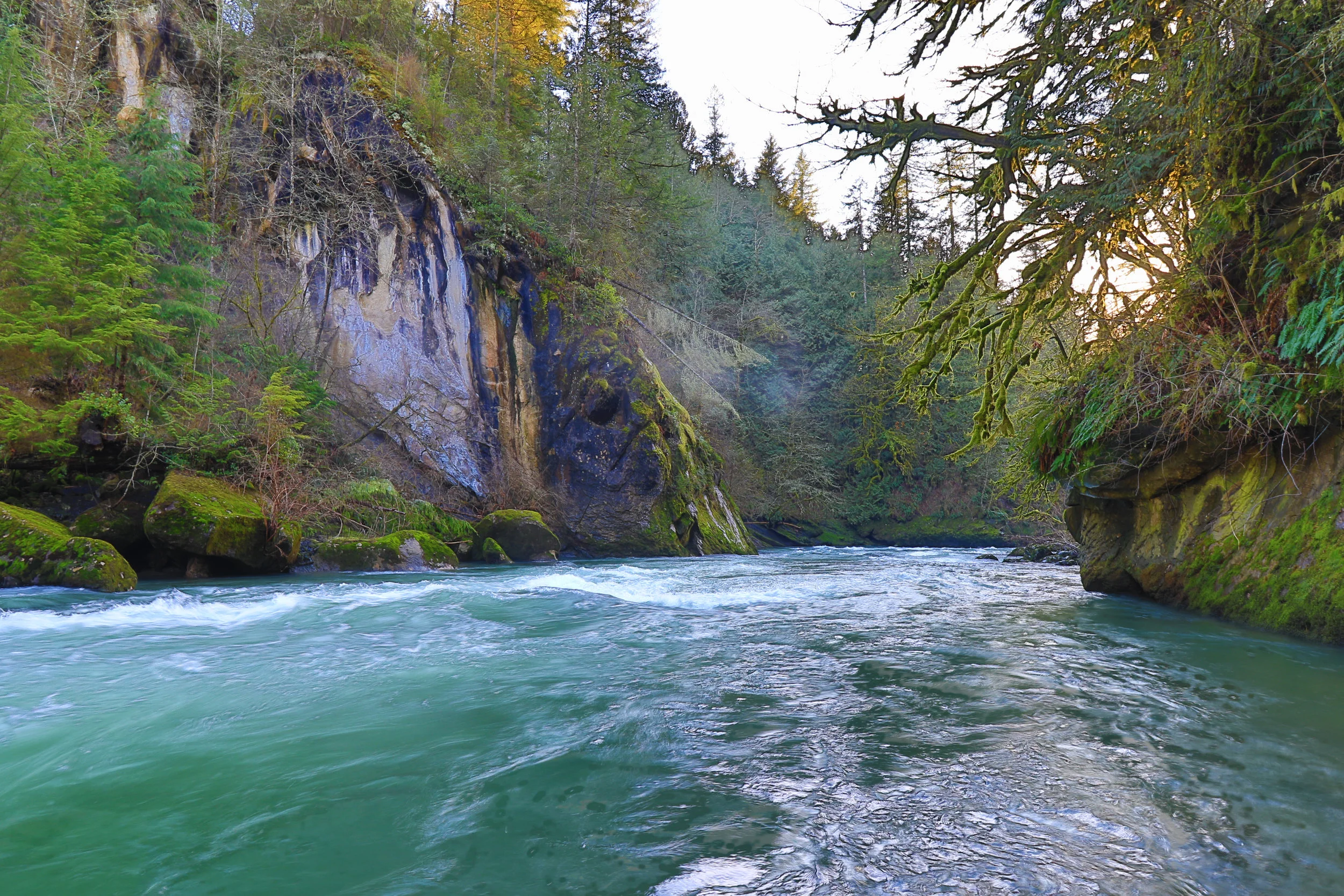 Wild Winter River