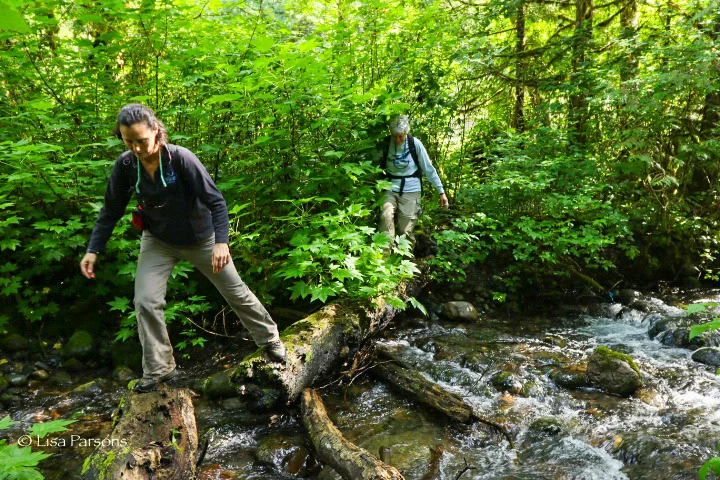 Hiking the Green River Gorge looking for otter poop with scientist, Michelle Wainstein of the Otter Spotter program