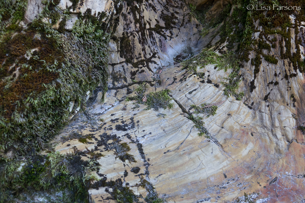 rock-01920.jpg