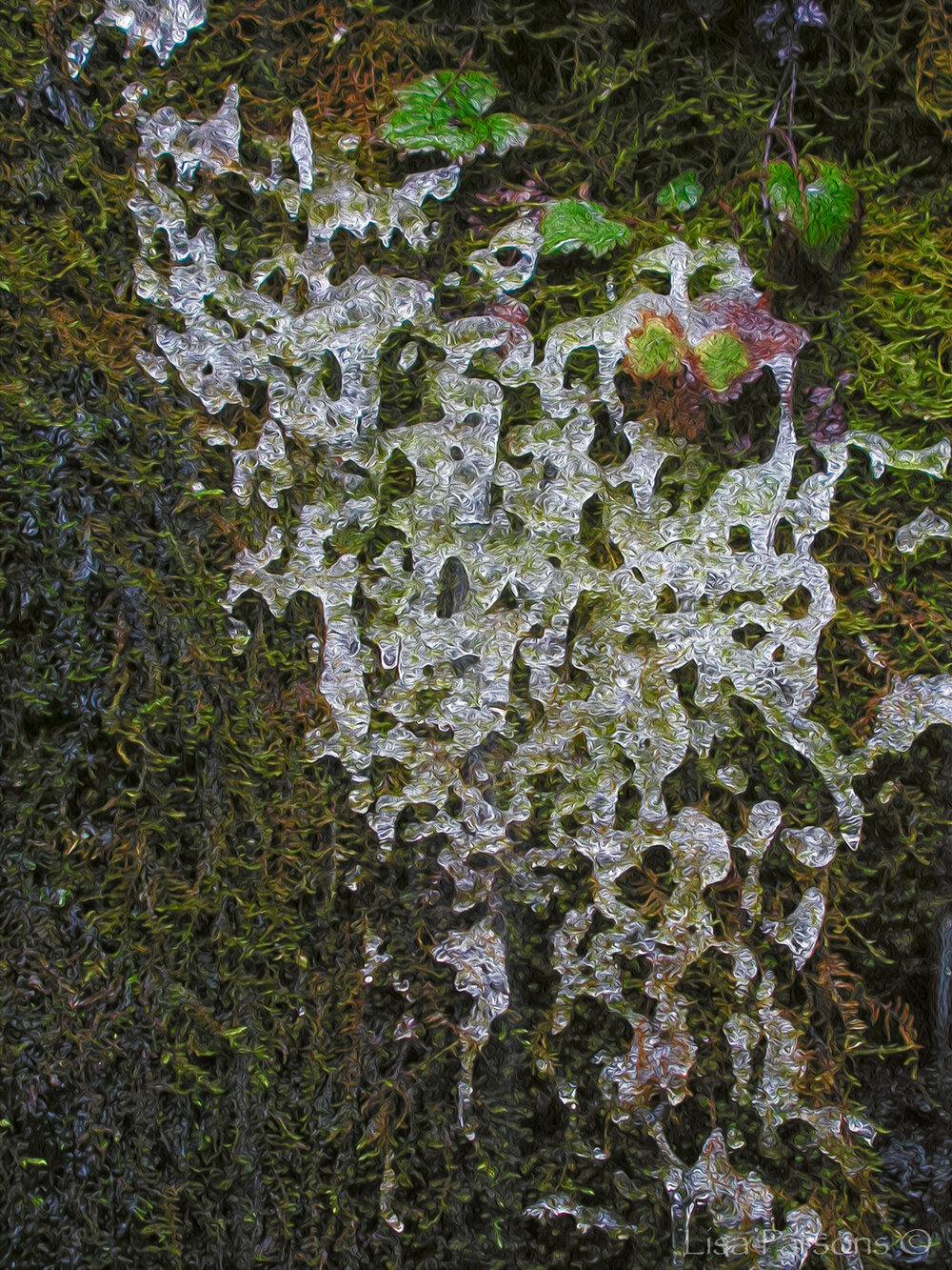 Icycle Lace at Icy Creek