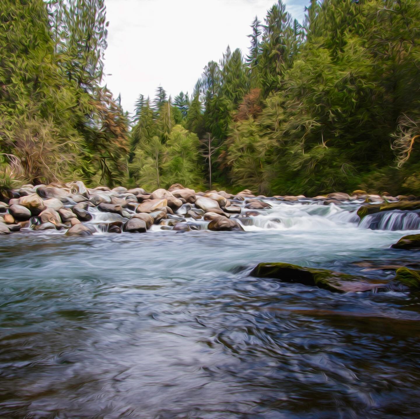 Sometimes softly sometimes loudly the river keeps on flowing. #greenrivergorge #greenrivergorgegreenway #wasingtonstate #conservation #conservationphotography #getoutside #enumclaw #blackdiamondwashington #kingcountyconservation #whitewaterrafting #r