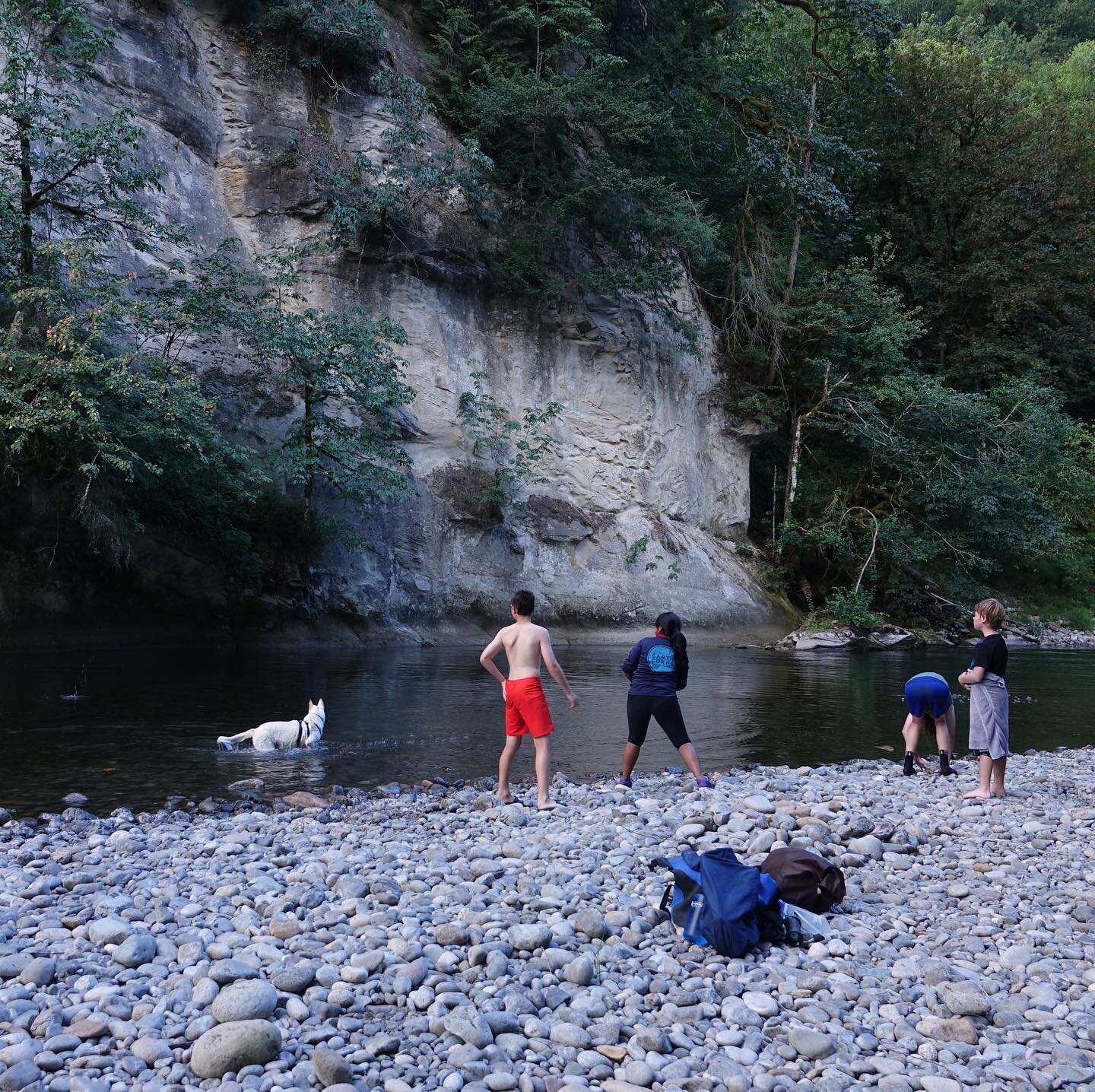 Summer friends in the Green River Gorge.  Summer in Western Washington brings warm weather and sunny skies.  What better time is there to get out and explore the local trails of the Green River Gorge.  #greenrivergorge #greenrivergorgegreenway #washi