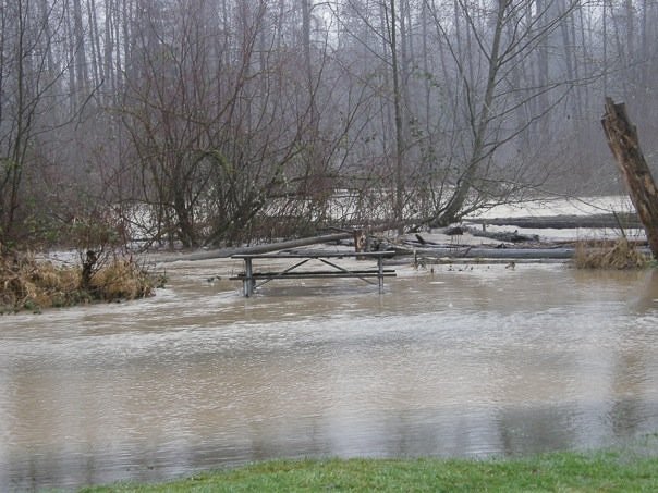 Flooded shoreline and picnic tables