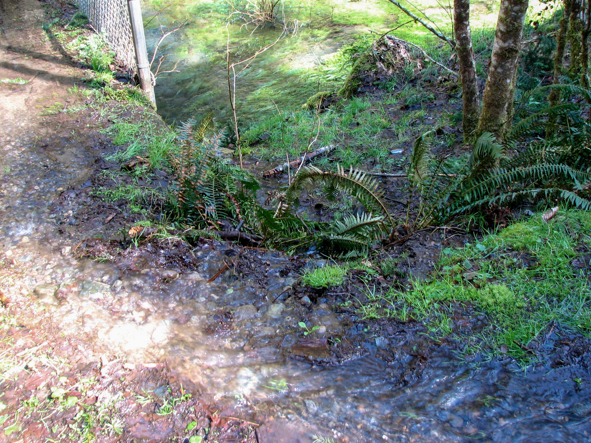 Water flowing around and over old dam