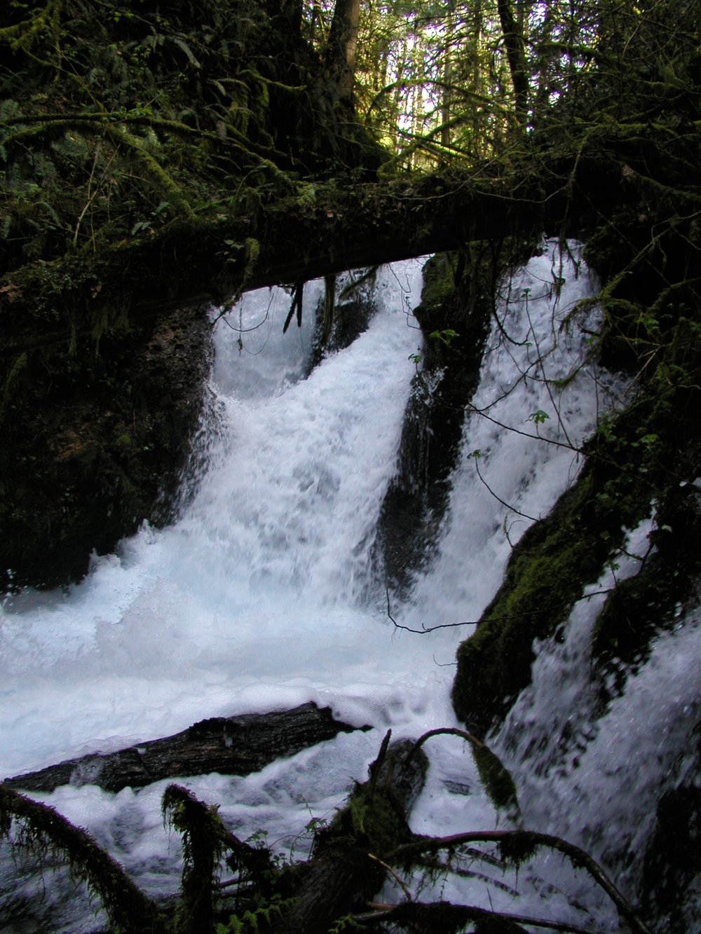 Lower waterfall 