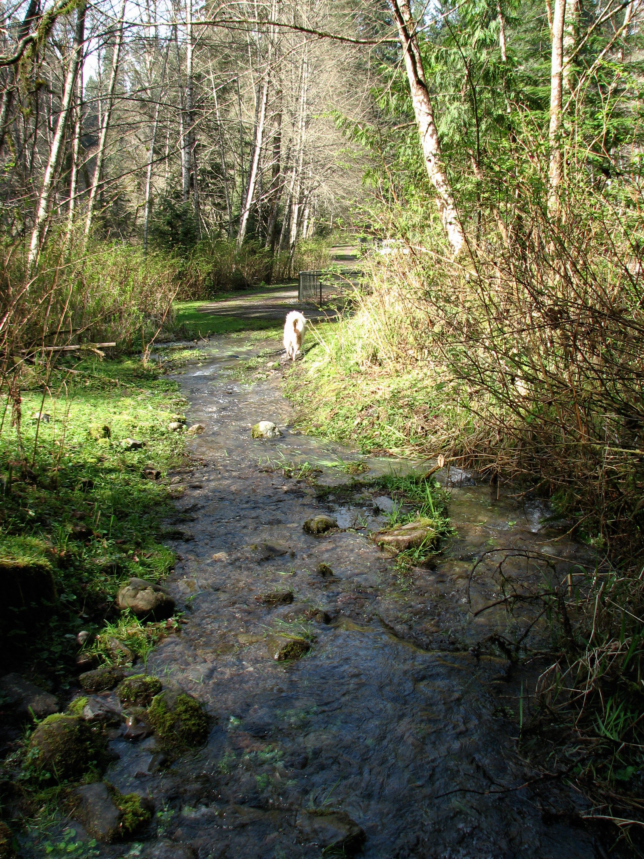 New channels formed by overflow around lower dam