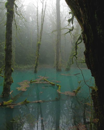 GRG 2015 (13 of 43).jpg