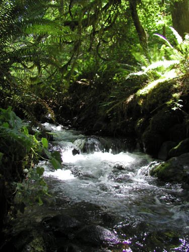 GRG 2015 (37 of 43).jpg