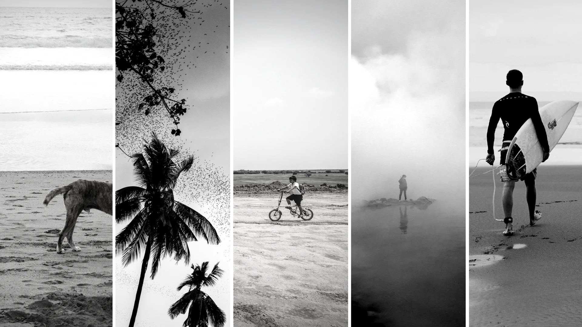 HUMAN-INTEREST Nº 3