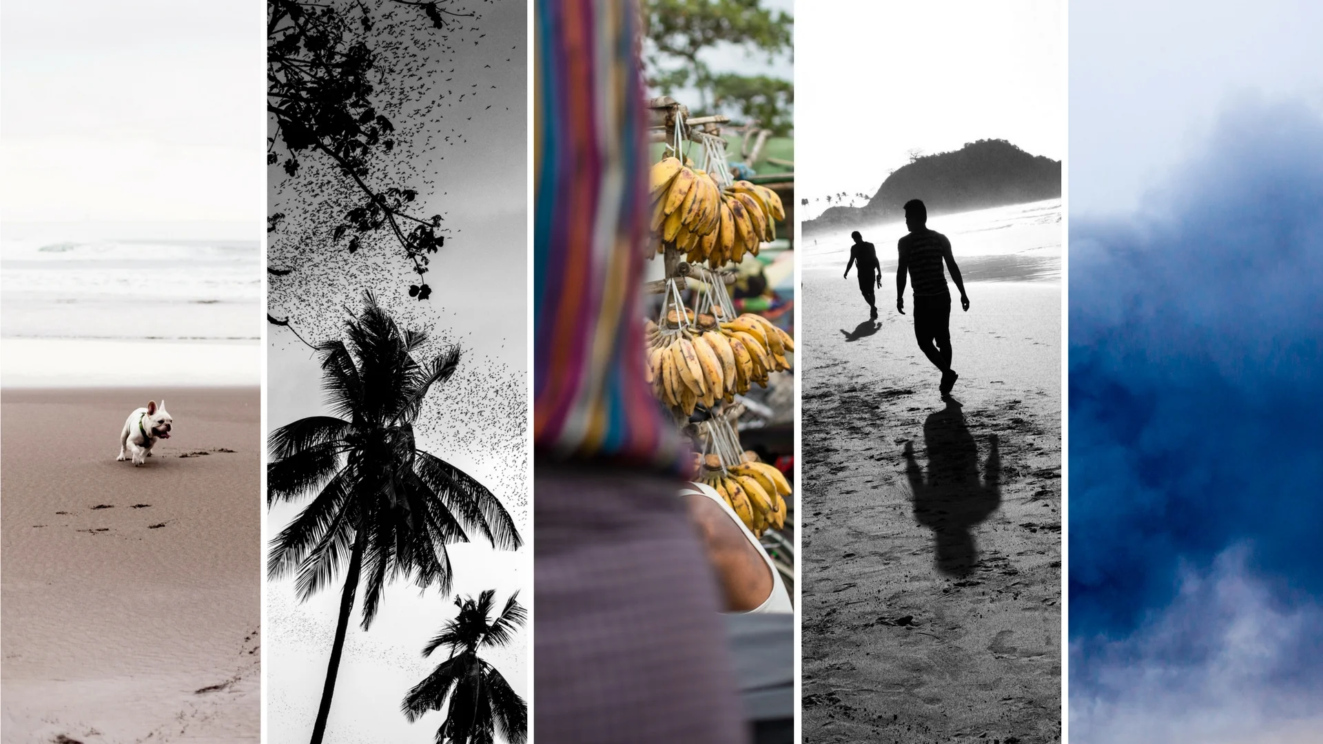 HUMAN-INTEREST Nº 8